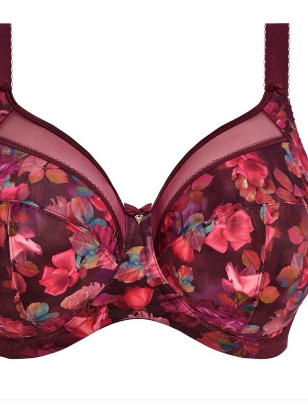 Floral Kayla Underwire Bra in Burgundy. 40DDD New with tags